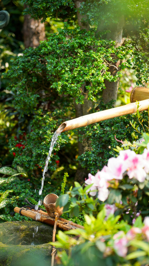 Ways to Transform Your Garden with a Water Pressure Nozzle