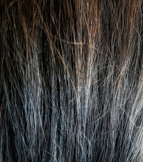 Mastering Hair Care with FEG PLUS Hair Growth Spray Tips and Tricks