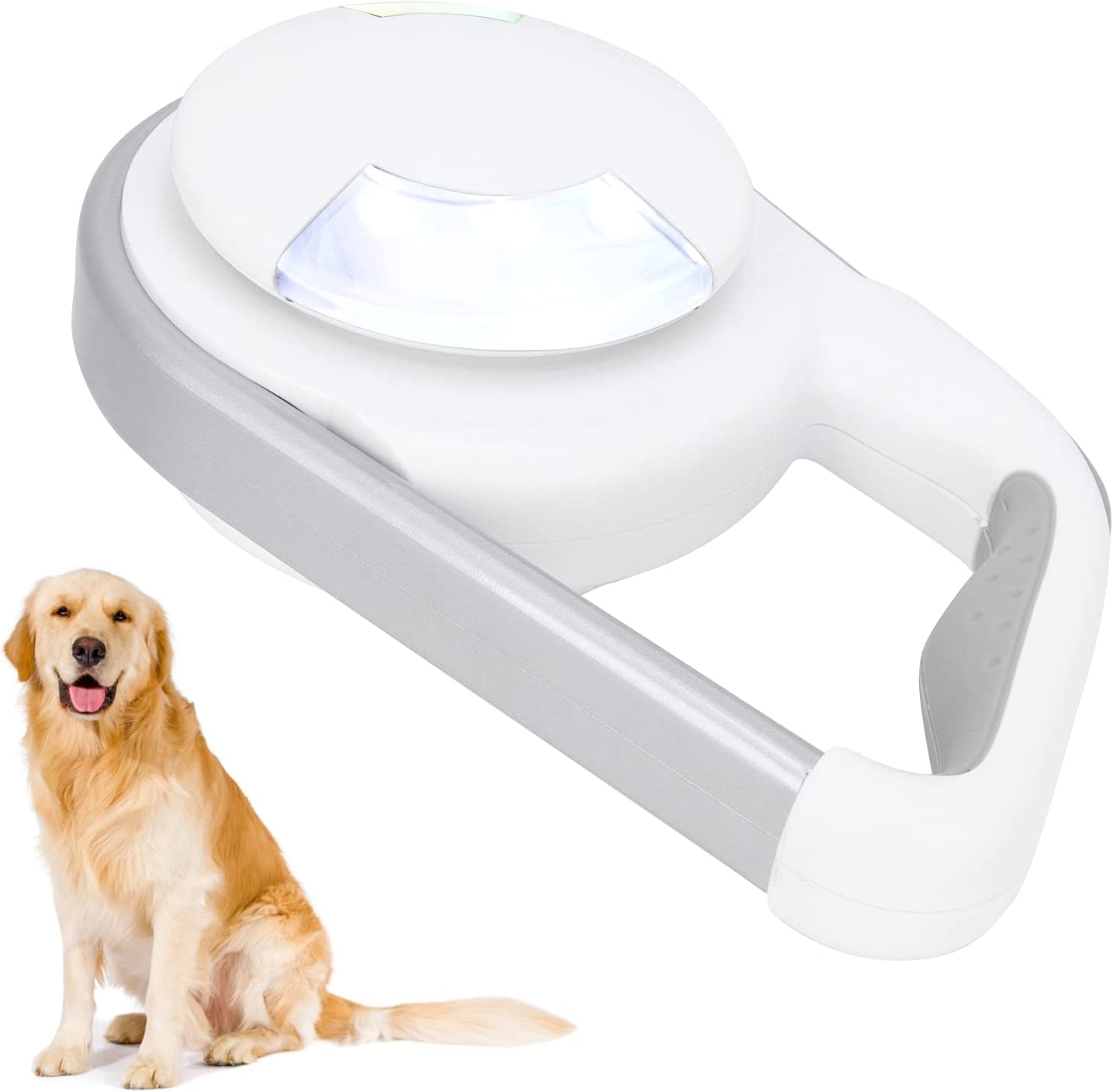 Lighted Dog Traction Rope - SHOPIZEM