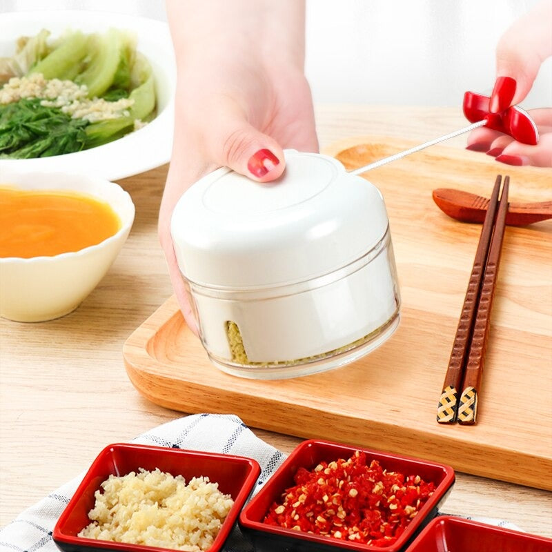 Mini Food Garlic Vegetable Grinder - SHOPIZEM