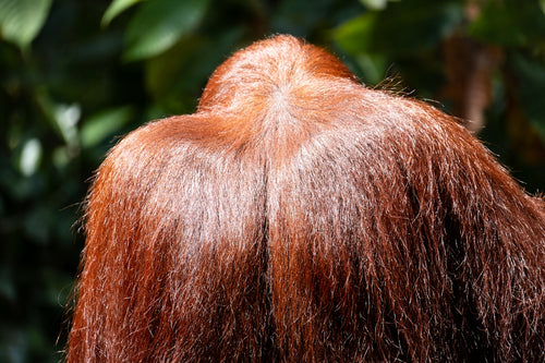 10 Reasons FEG PLUS Hair Growth Spray is the Best Choice for Your Hair Care Routine